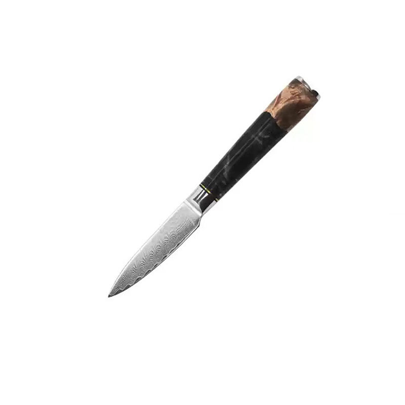 Damascus Knife Set with Resin Handle | Chinese & Japanese Style | Custom Logo