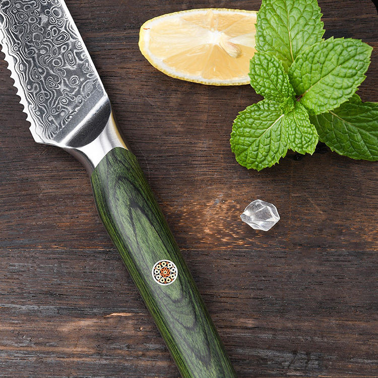 RT02R VG10 Damascus Steel Steak Knife Set – 6 Pcs Green Pakka Wood Handle