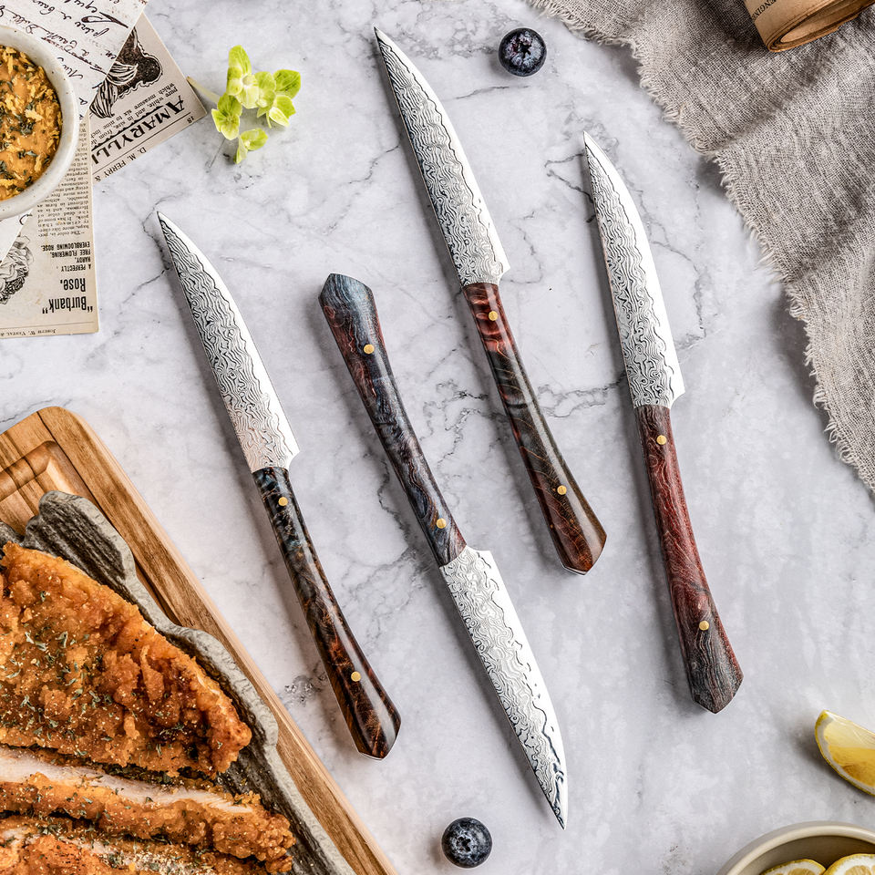 Grandsharp 4-Pc Damascus Steak Knife Set | VG10 Core 67 Layers | Non-Serrated