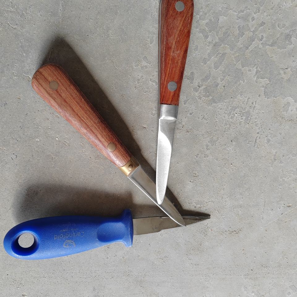 Stainless Steel Oyster Shucking Knife | 16cm Industrial Grade | OEM