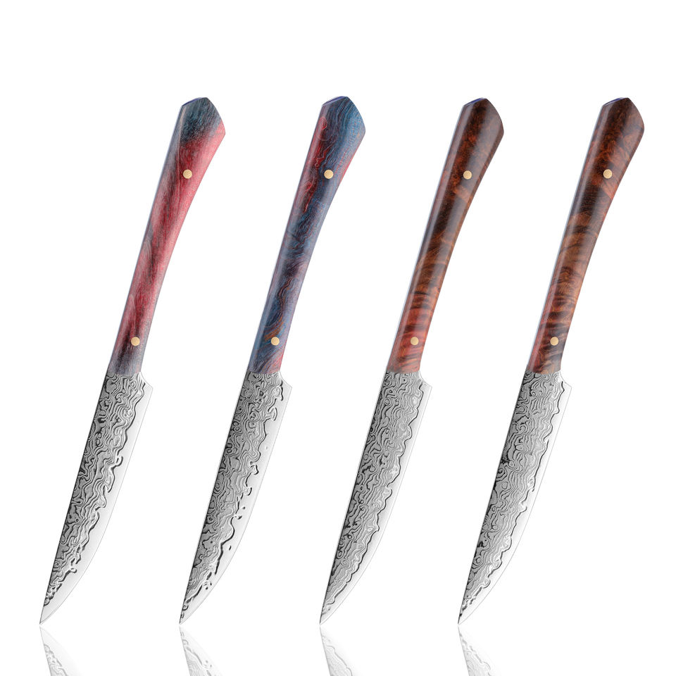 Grandsharp 4-Pc Damascus Steak Knife Set | VG10 Core 67 Layers | Non-Serrated