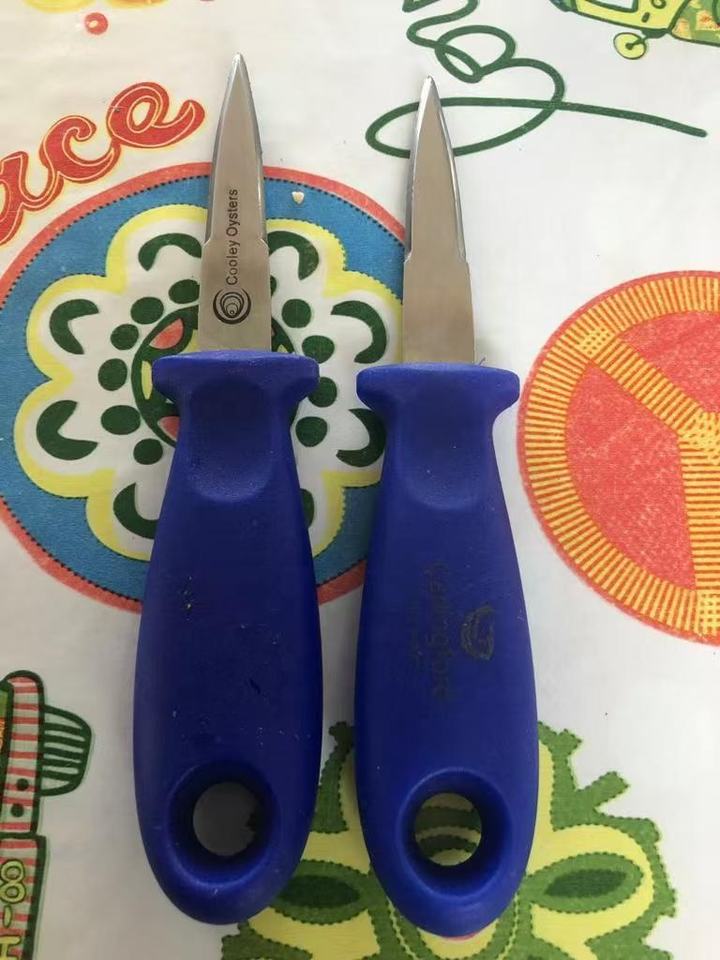 Stainless Steel Oyster Shucking Knife | 16cm Industrial Grade | OEM