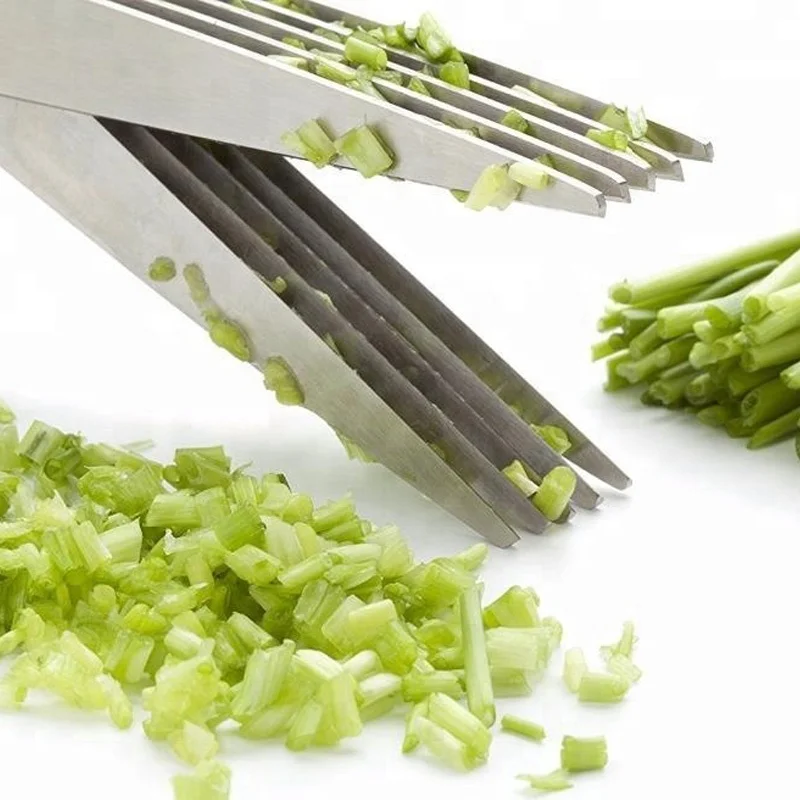 5-Blade Herb Scissors with Comb – Stainless Steel Kitchen Shears